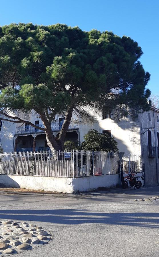 Bed & Breakfast Le Mas Palegry Chambres D'hotes Cote Terrasse *